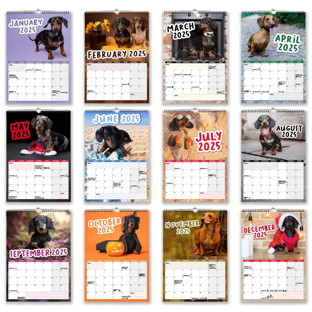 🦴🐶2025 Dachshund Wall Calendar