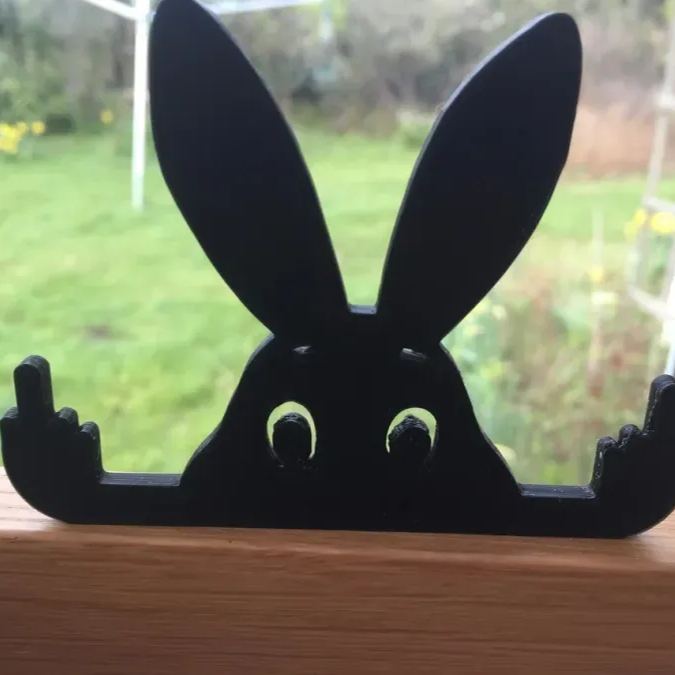 🤣Funny Black Cat Ornament