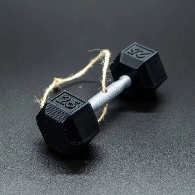 3D Printed Fitness Ornament