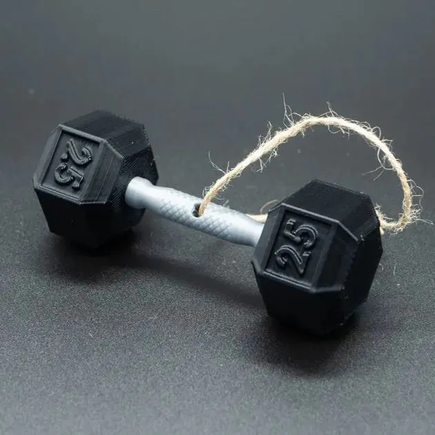 3D Printed Fitness Ornament