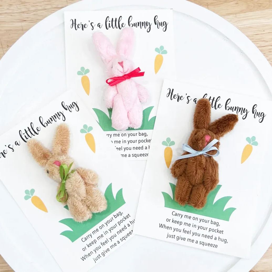 Easter Bunny Pocket Hugs