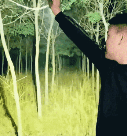 ミニサイズ高強度懐中電灯
