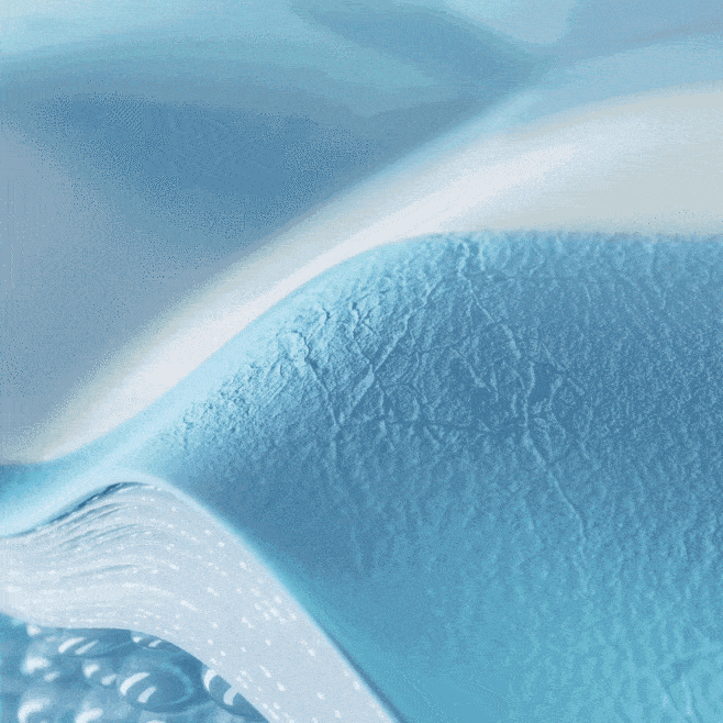 L_19.gif