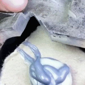 06.gif