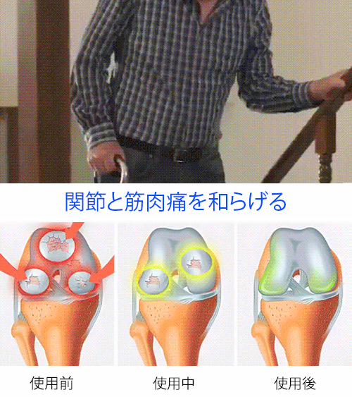 チリ輸入サクランボの種