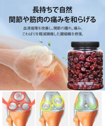 [関節炎・痛風の除去] 高品質ドライチェリー