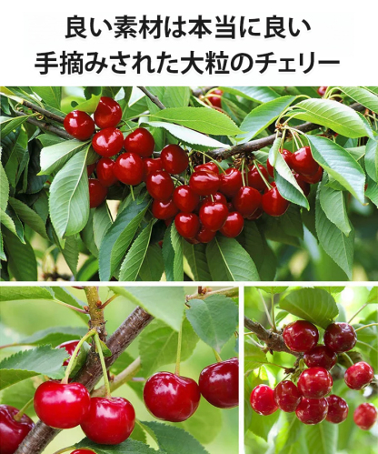 [関節炎・痛風の除去] 高品質ドライチェリー