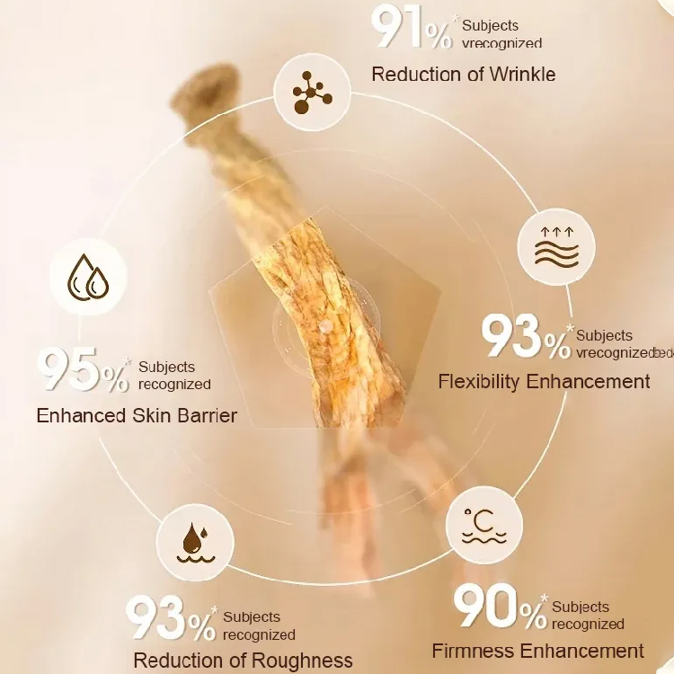 [30 years younger] Ginseng Extract Liquid - 120ml