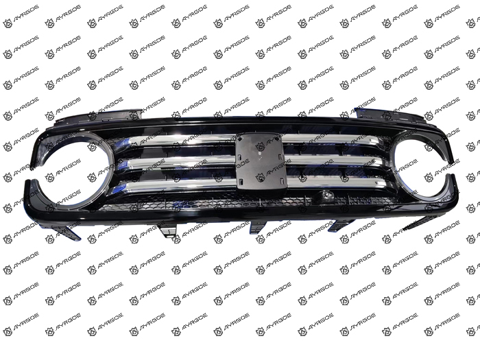 5509800XKM01A GRILLE