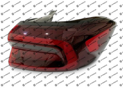 605000202AA TAIL LAMP ASSY