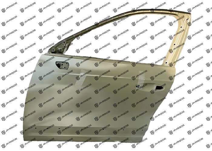 6101100XST01A DOOR ASSEMBLY FR