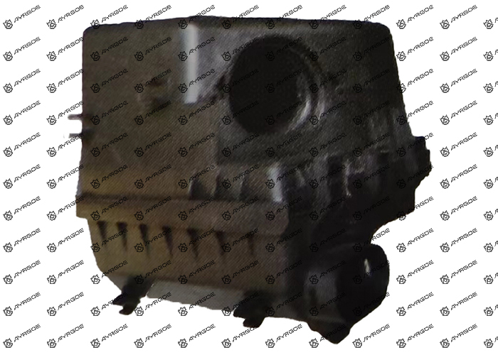 A21-1109110 AIR FILTER ASSY