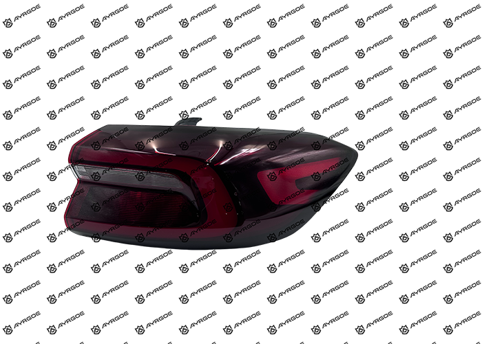 605000202AA TAIL LAMP ASSY