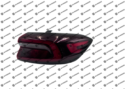 605000202AA TAIL LAMP ASSY