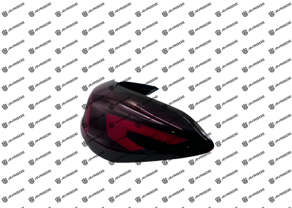 605000202AA TAIL LAMP ASSY