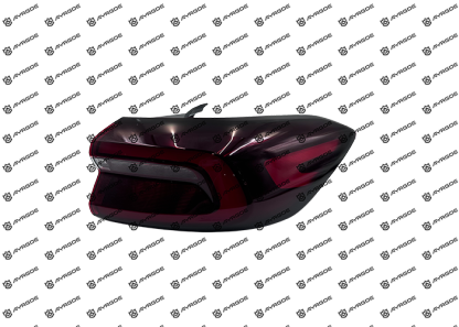 605000202AA TAIL LAMP ASSY