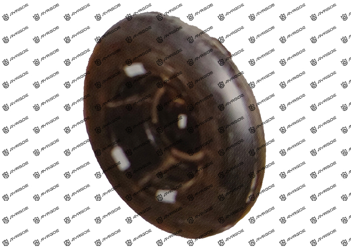 T11-6302520 SPARE TIRE COVER