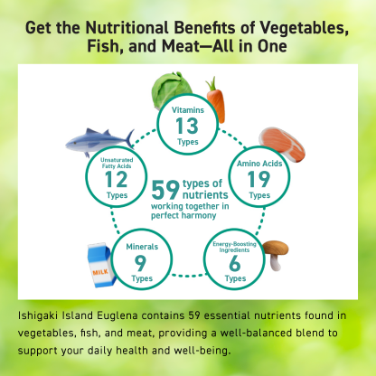 THE EUGLENA POWDER PLUS LACTOBACILLUS