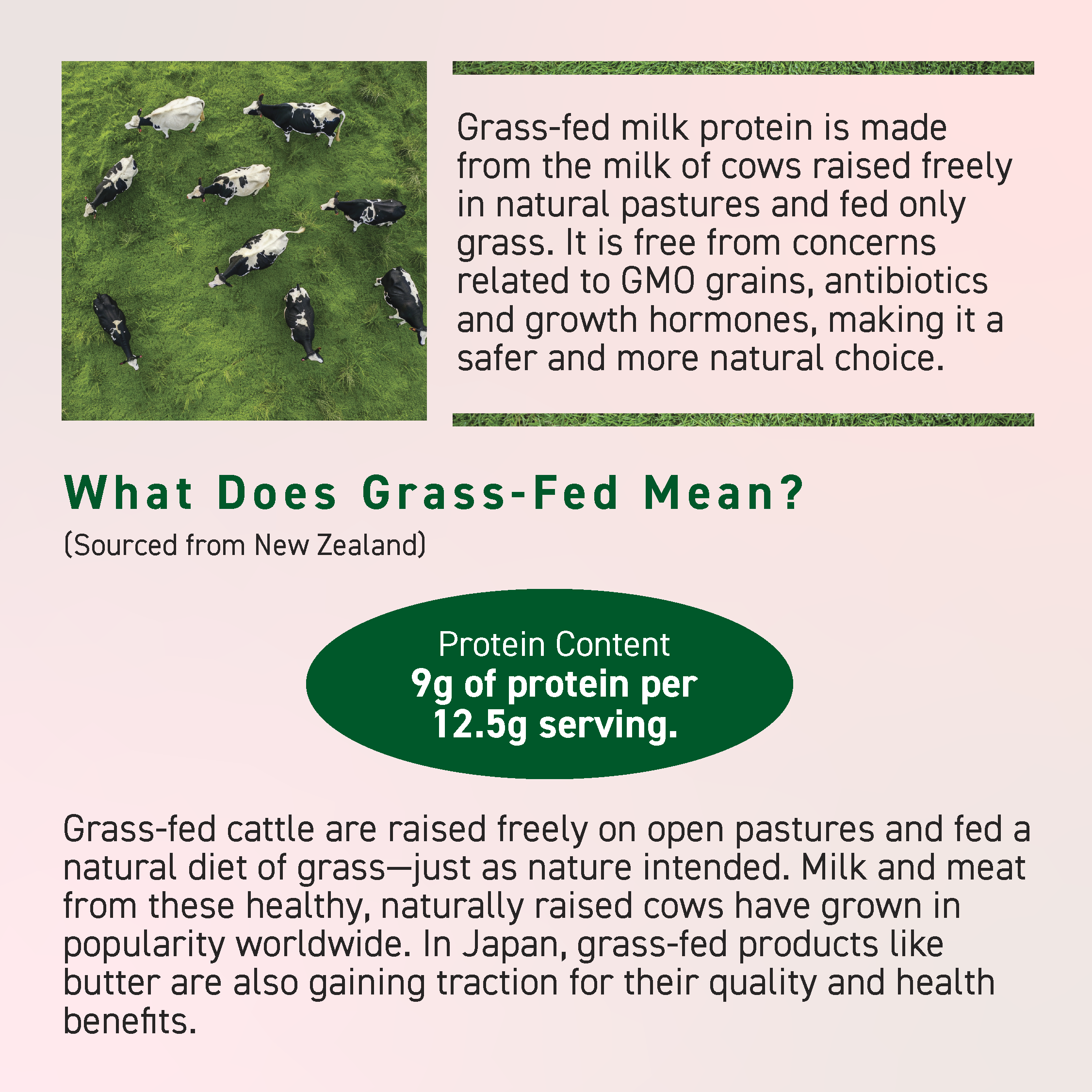 KALE & GRASS-FED MILK PROTEIN