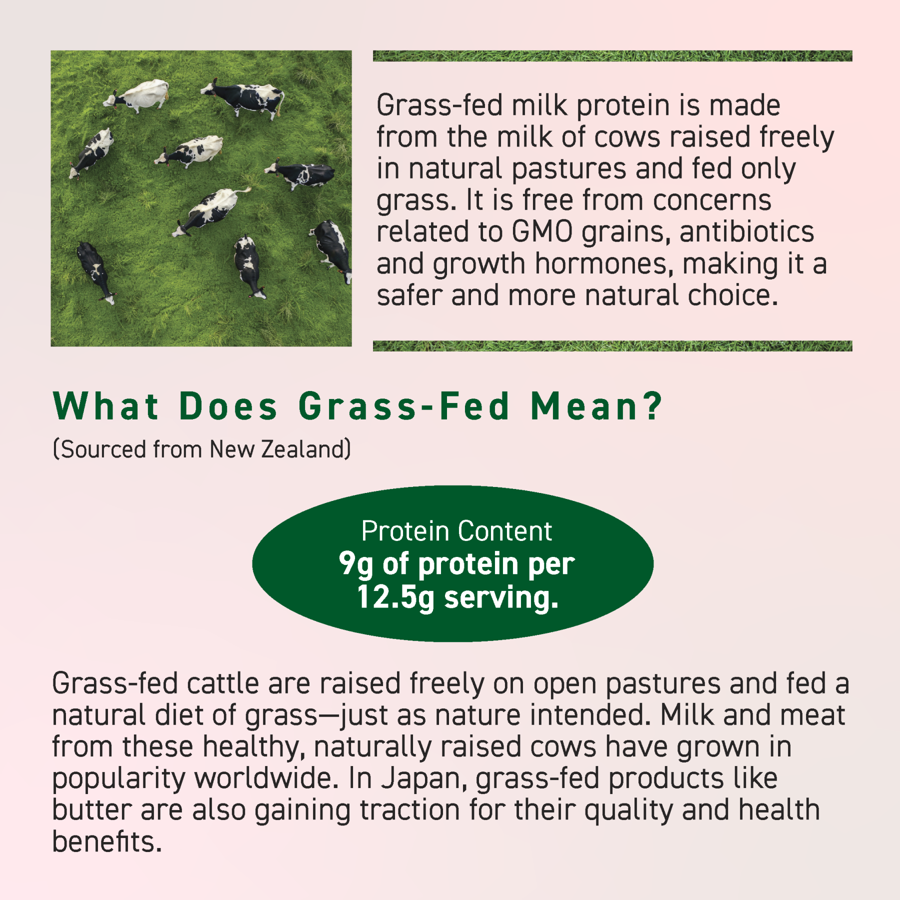 KALE & GRASS-FED MILK PROTEIN