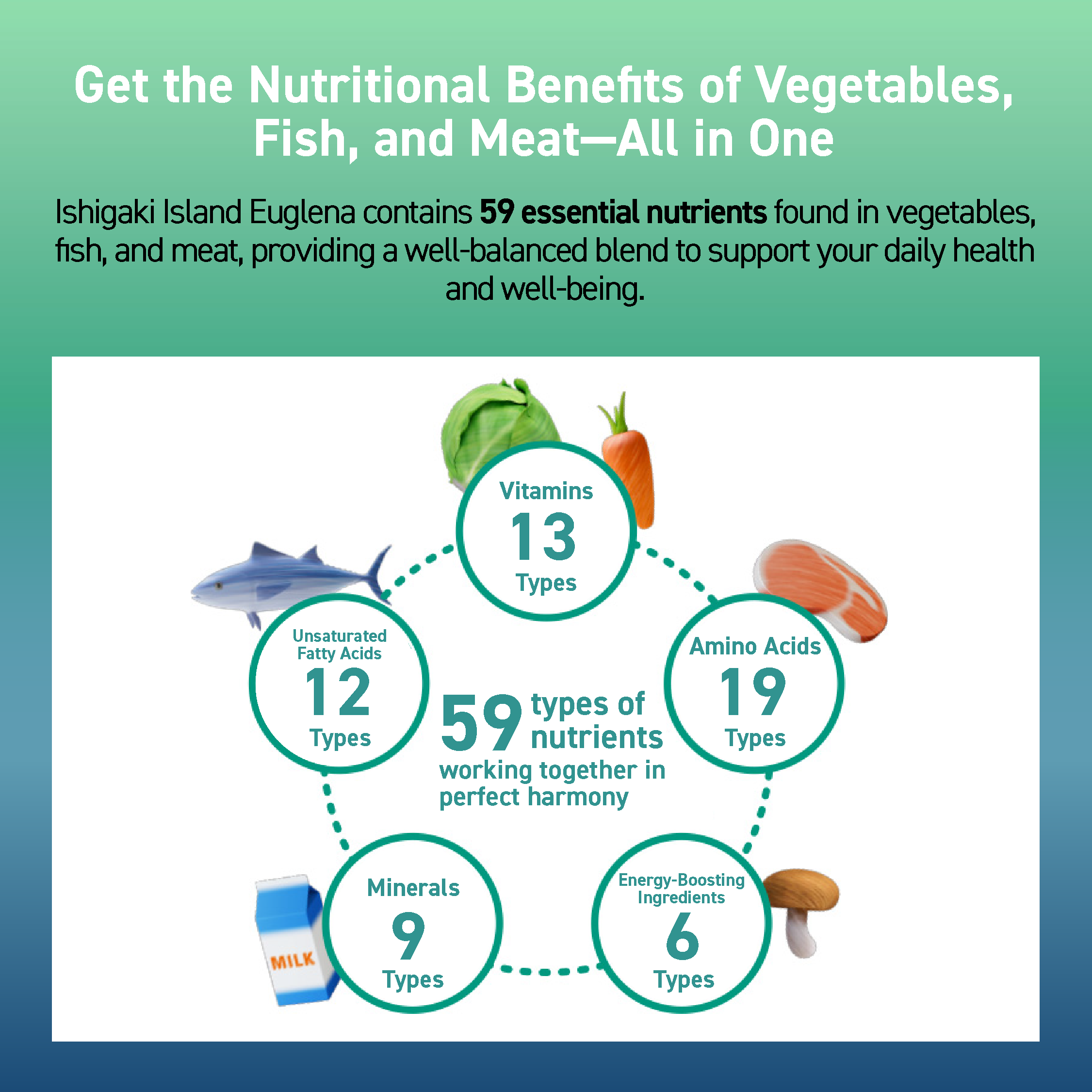 SLEEP AID + FATIGUE & STRESS SUPPORT