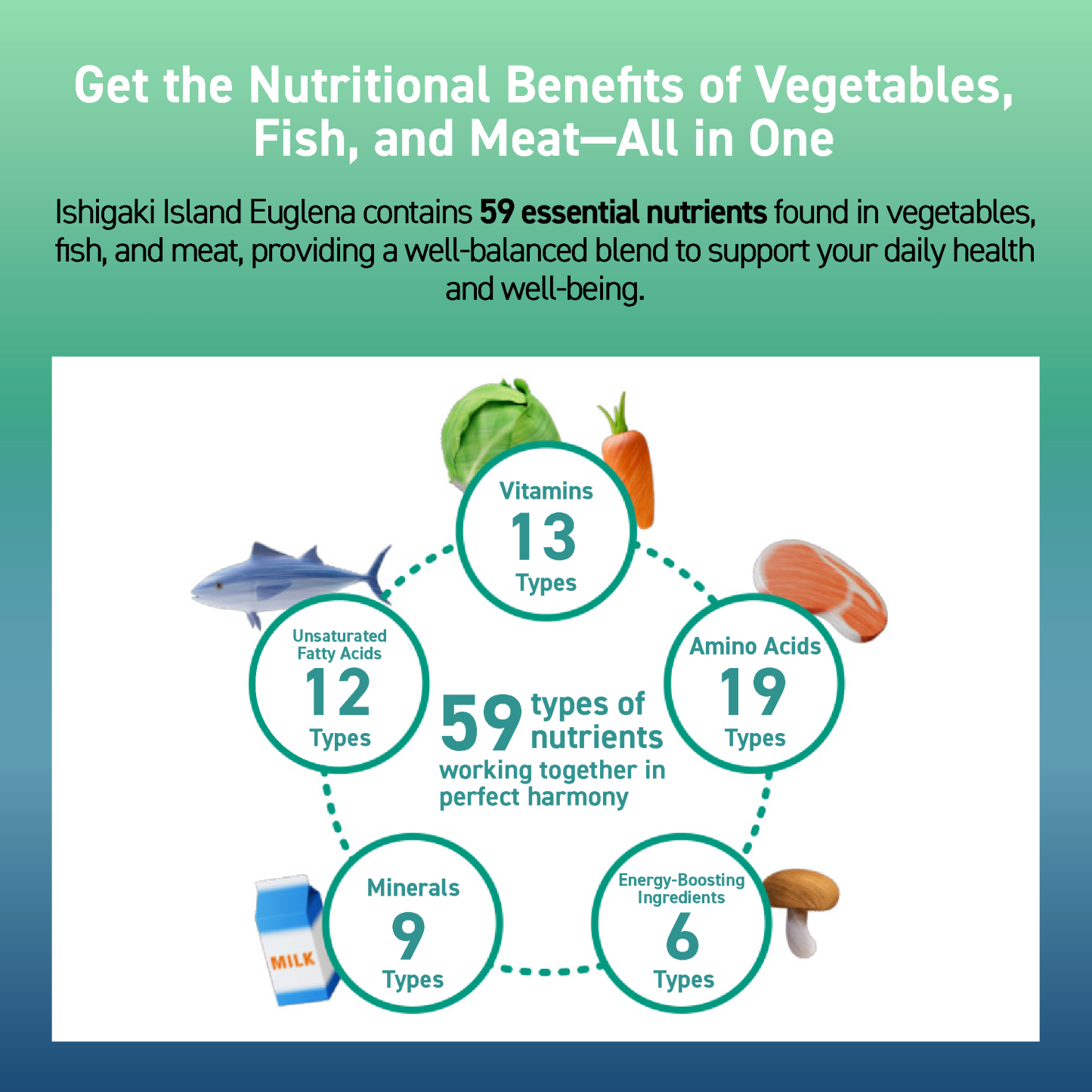 SLEEP AID + FATIGUE & STRESS SUPPORT