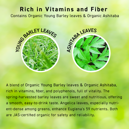 THE EUGLENA POWDER PLUS LACTOBACILLUS