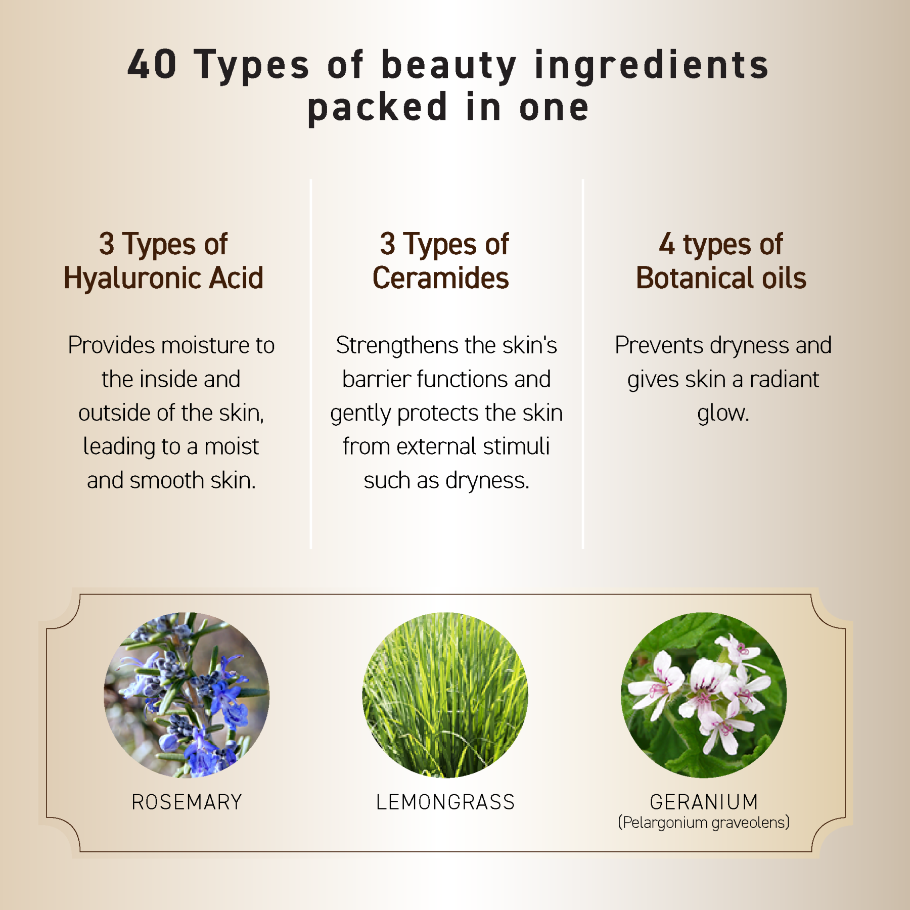 OZIO BEAUTY OPENER SLEEPING PACK