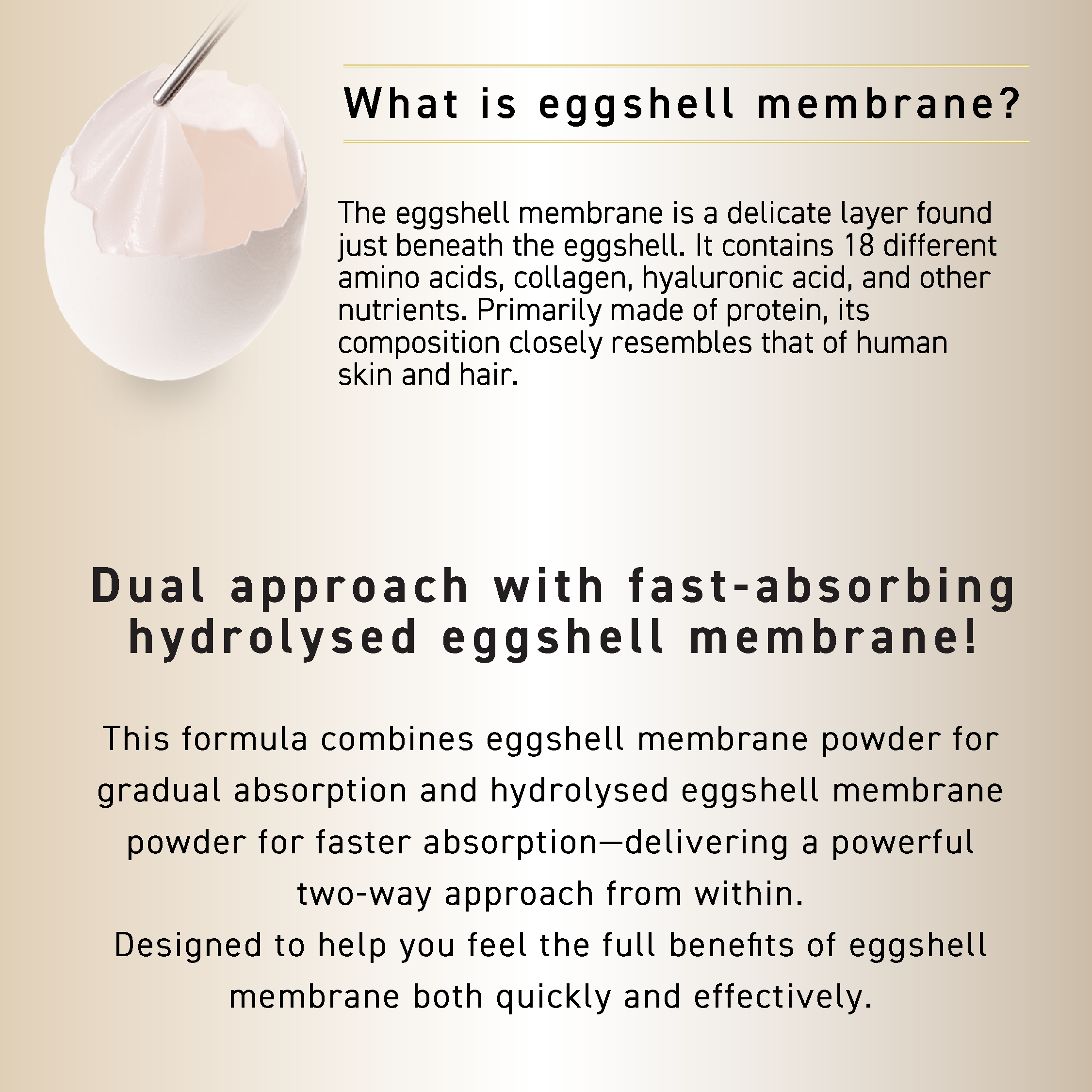 OZIO BEAUTY OPENER SUPPLEMENT