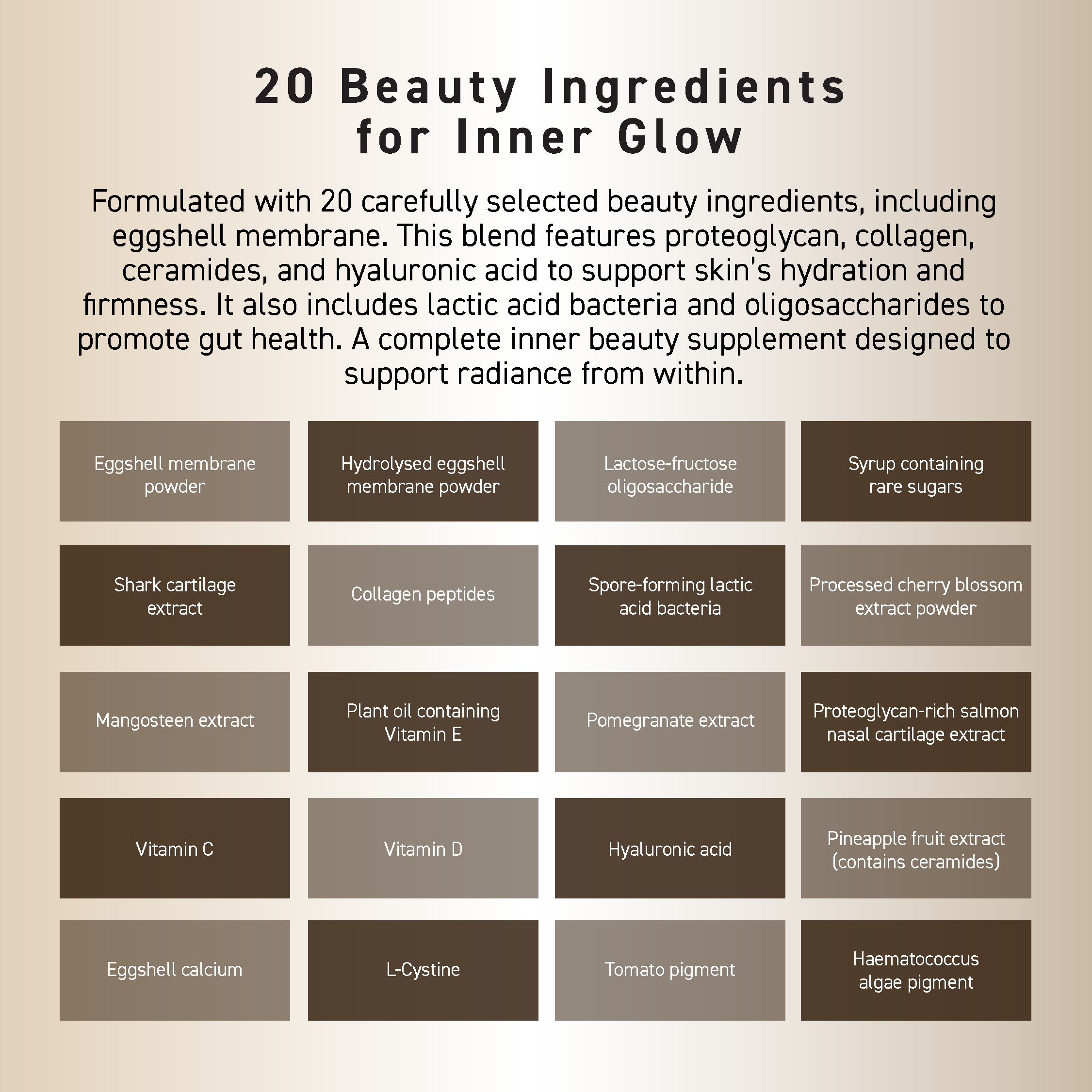 OZIO BEAUTY OPENER SUPPLEMENT