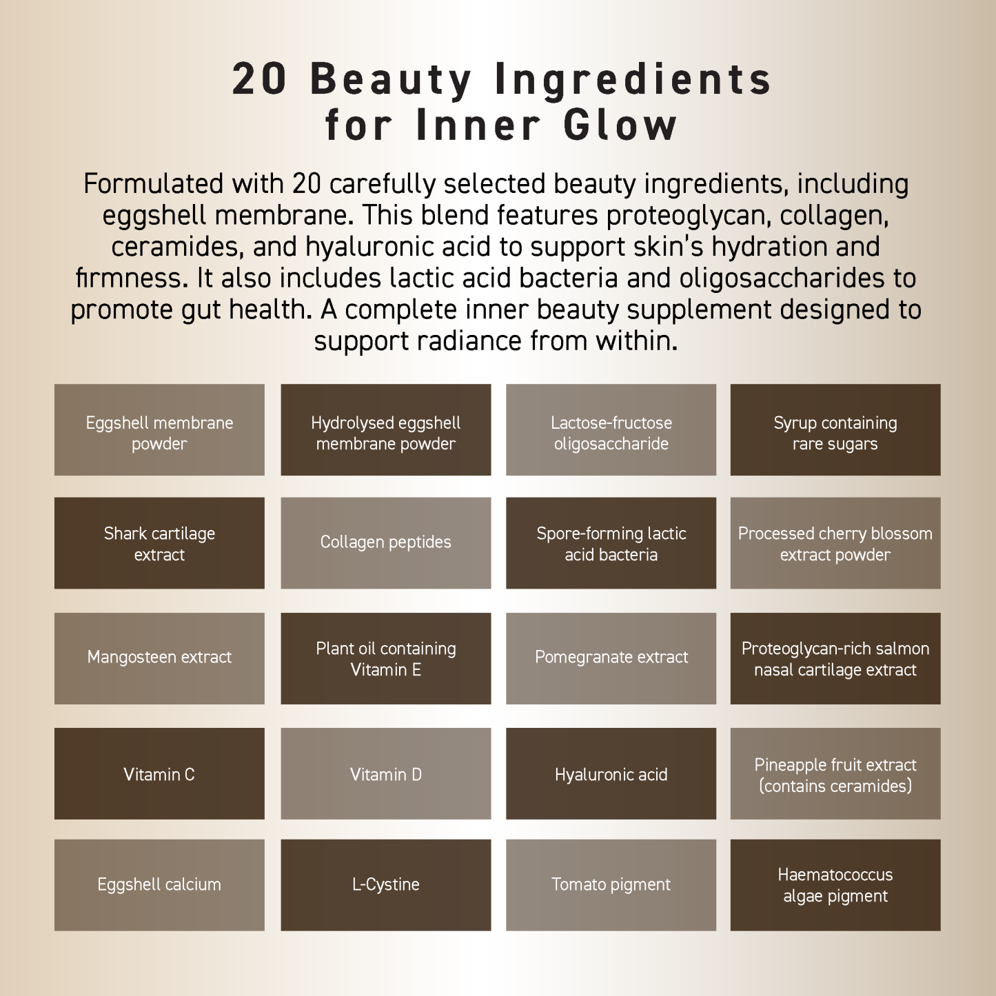 OZIO BEAUTY OPENER SUPPLEMENT