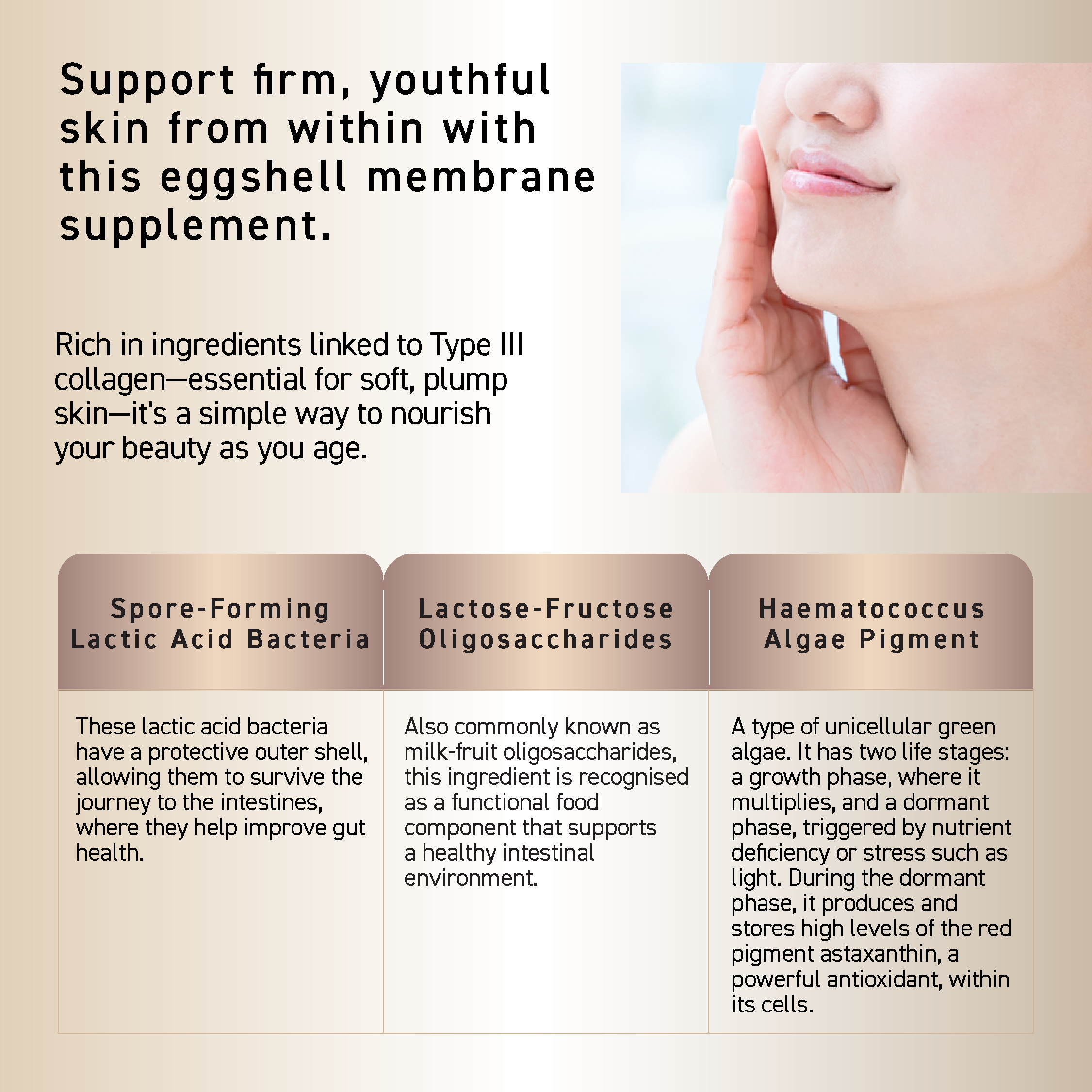 OZIO BEAUTY OPENER SUPPLEMENT