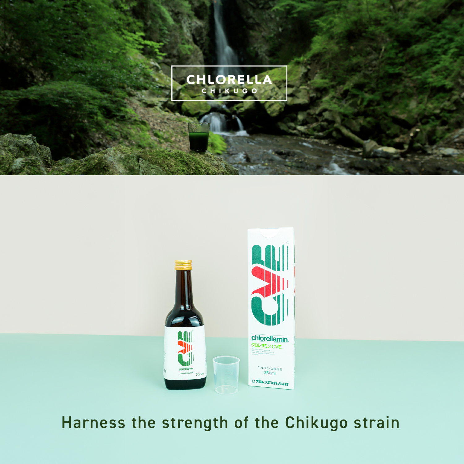 CHLORELLAMIN CVE