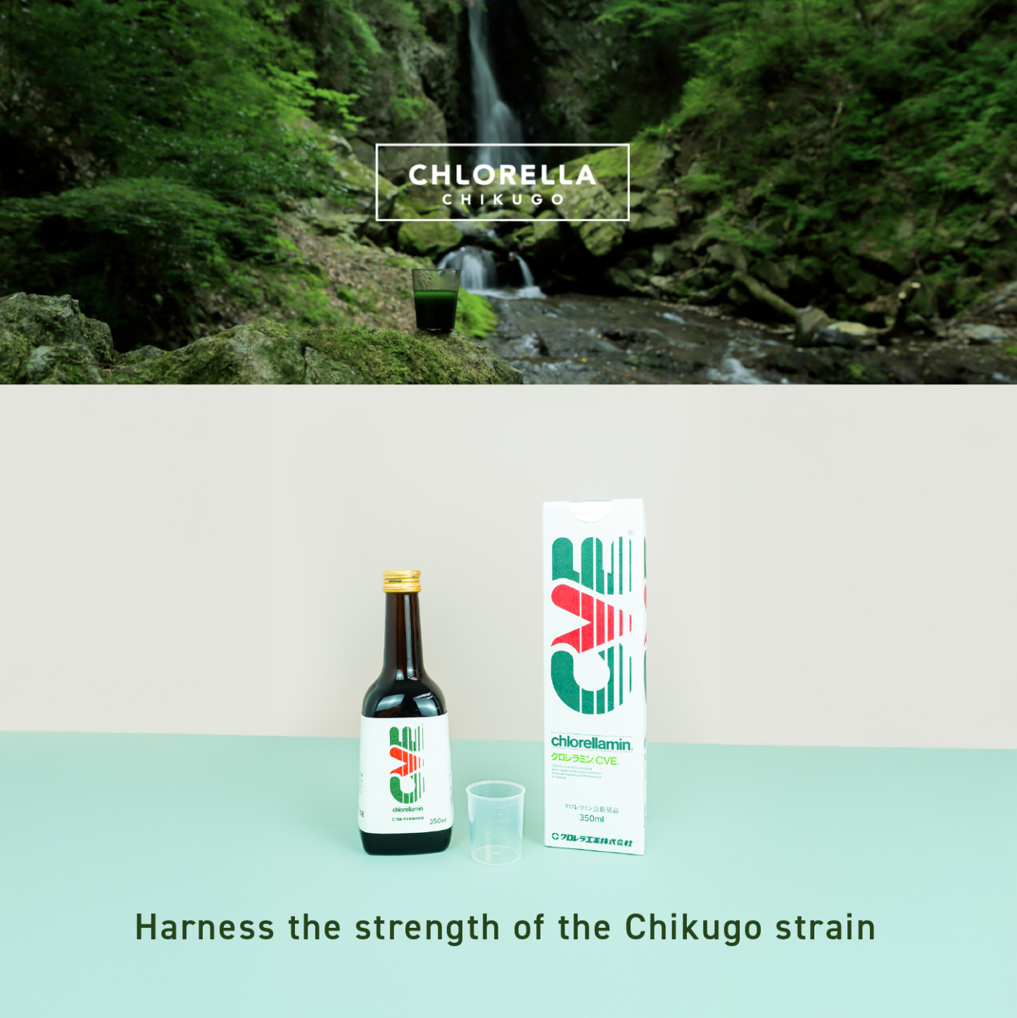 CHLORELLAMIN CVE