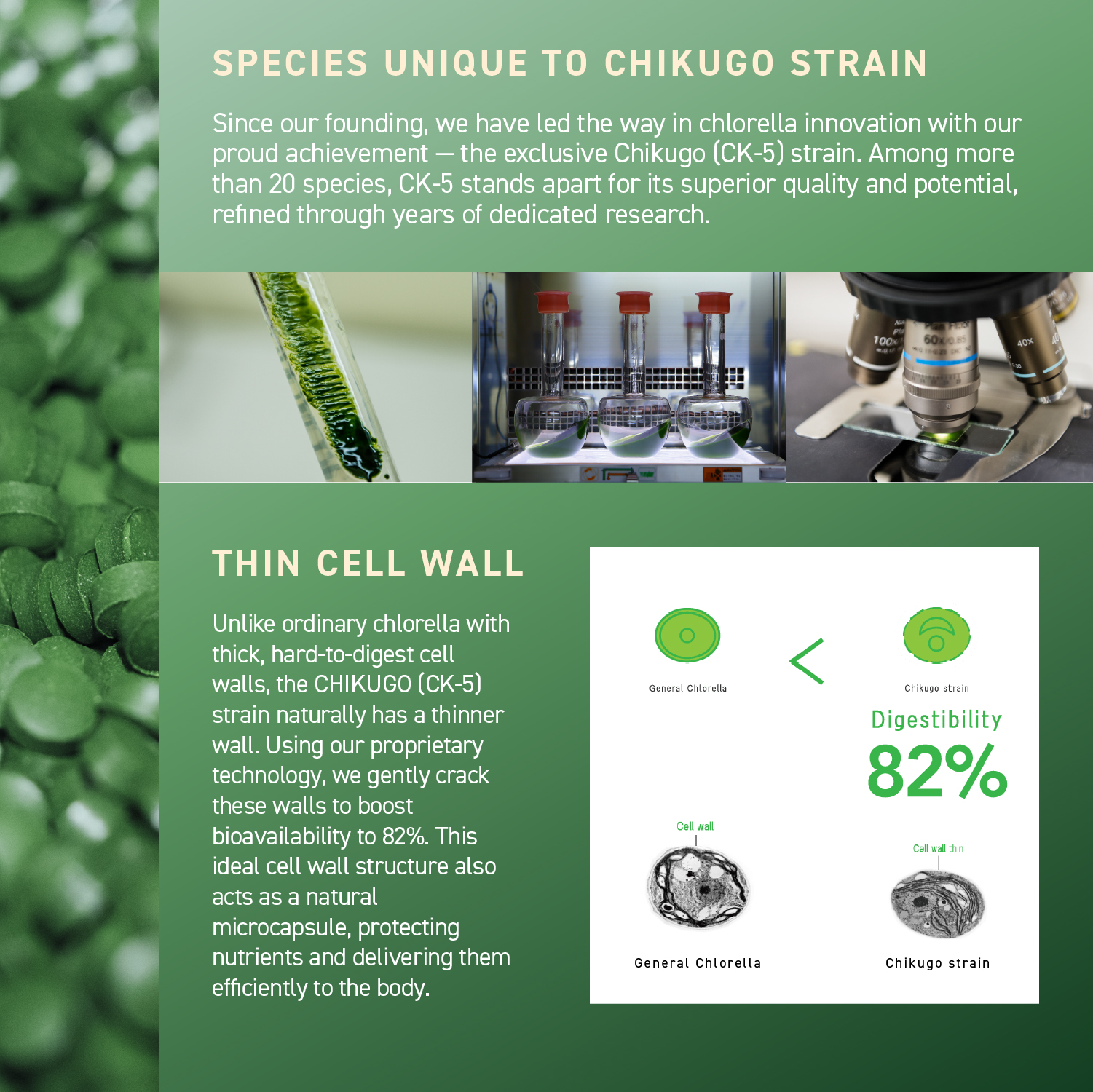 CHLORELLA THEORY PACK