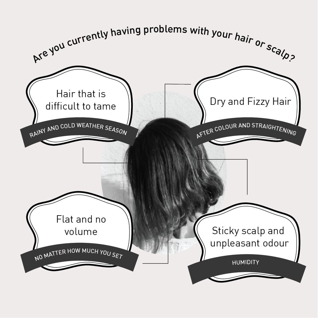 405 CLEANSING CONDITIONER TRADITIONAL ROSE