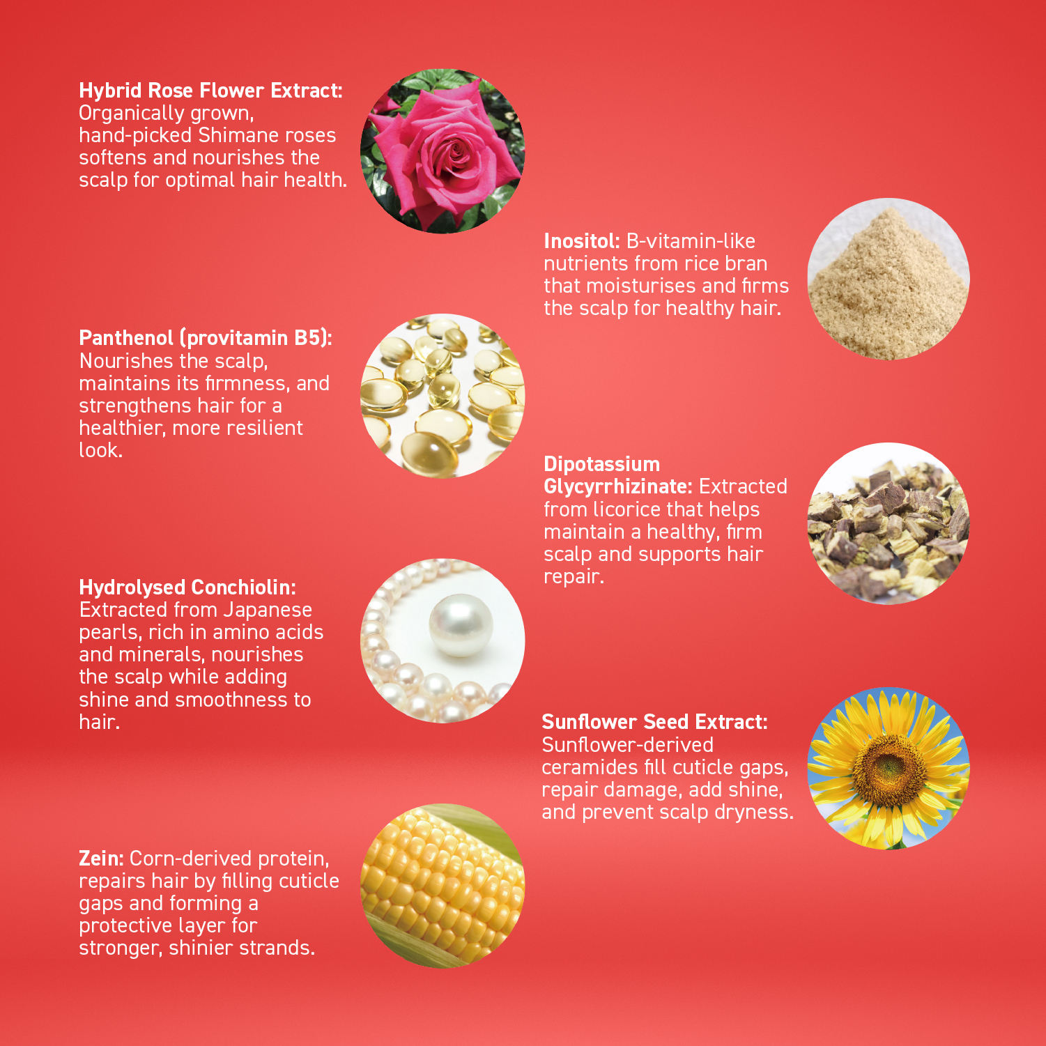 FUSARI HAIR FOUNDATION (BLACK)