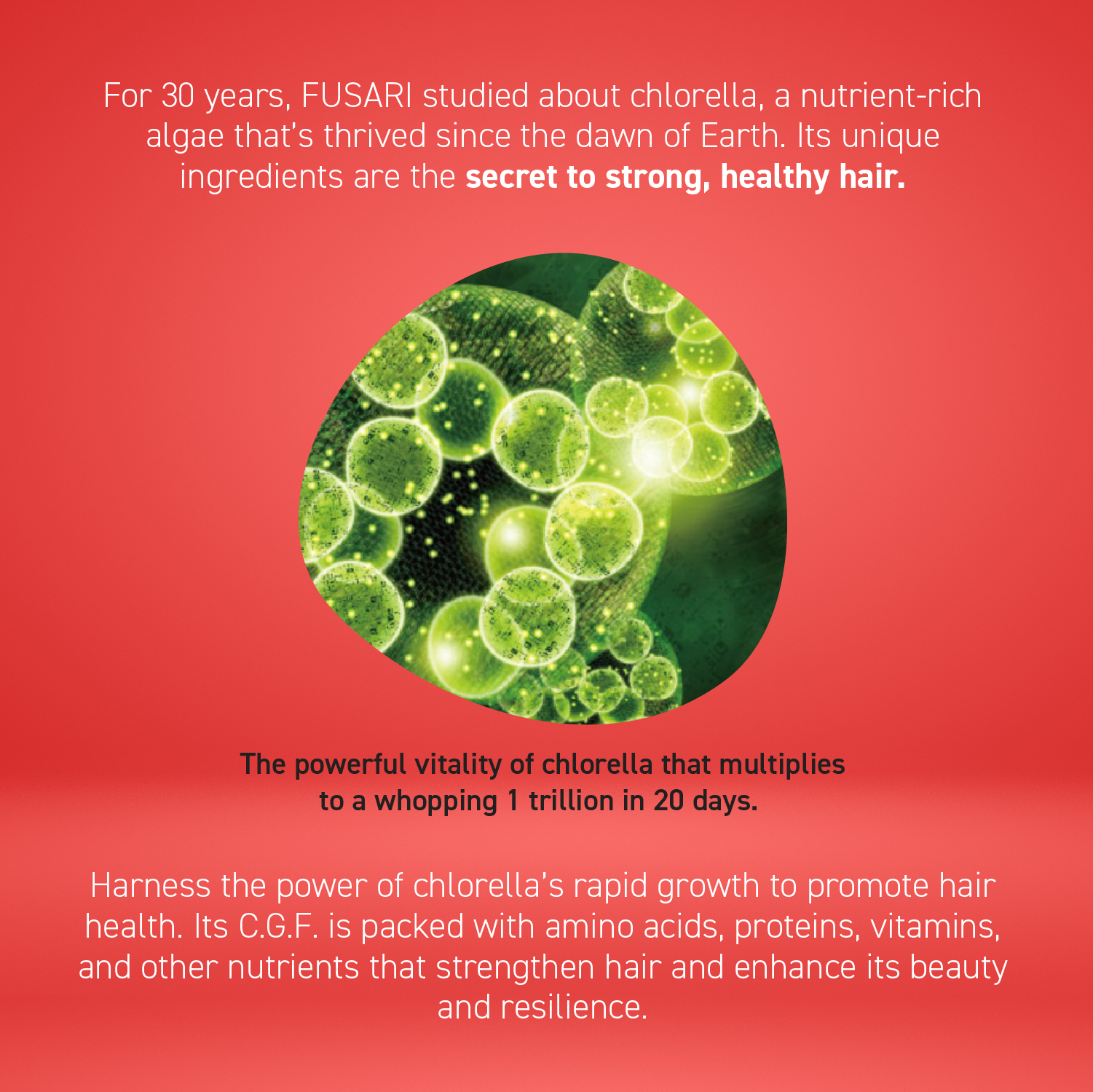 FUSARI MEDICATED HAIR GROWTH ESSENCE