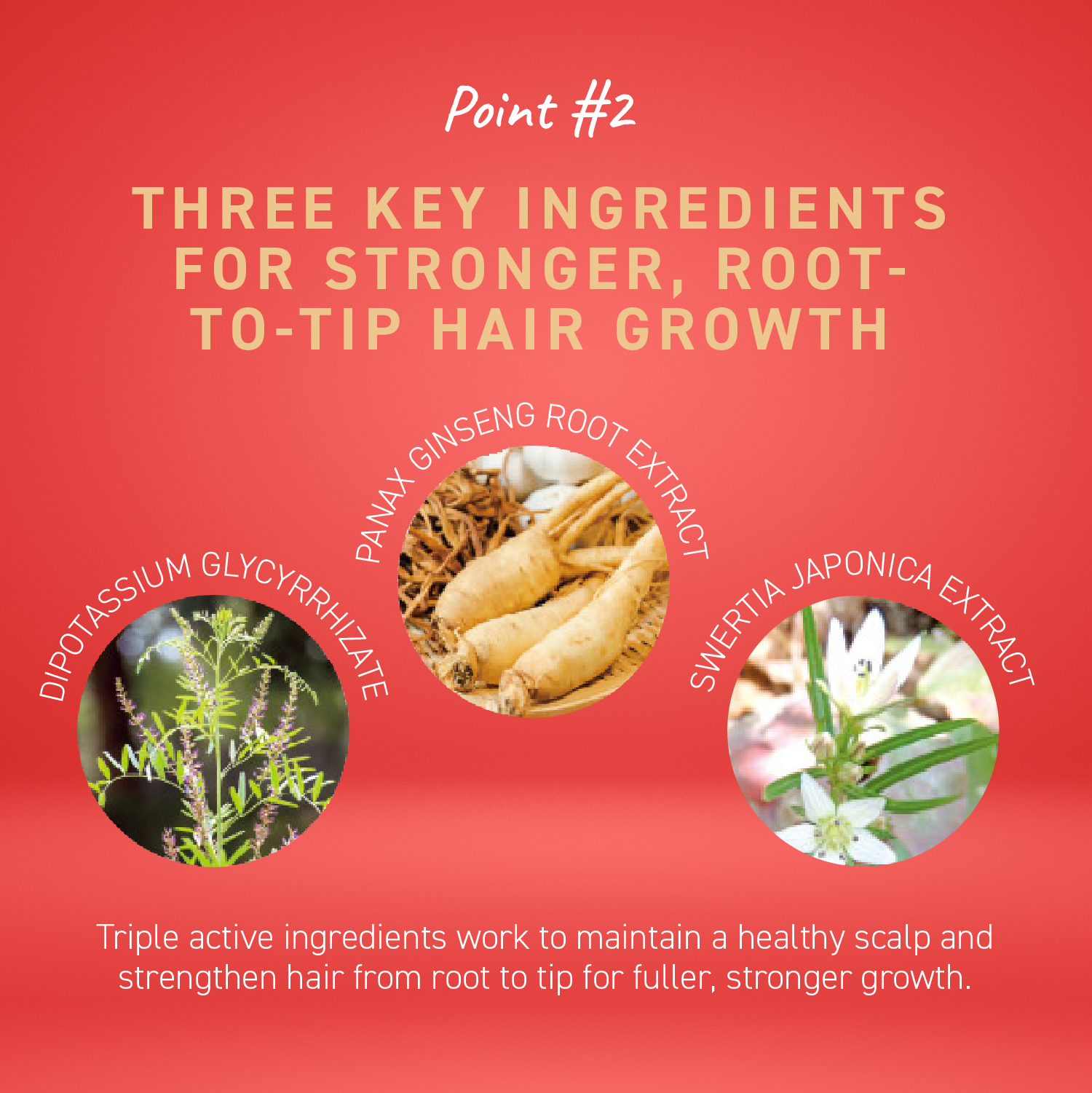 FUSARI MEDICATED HAIR GROWTH ESSENCE