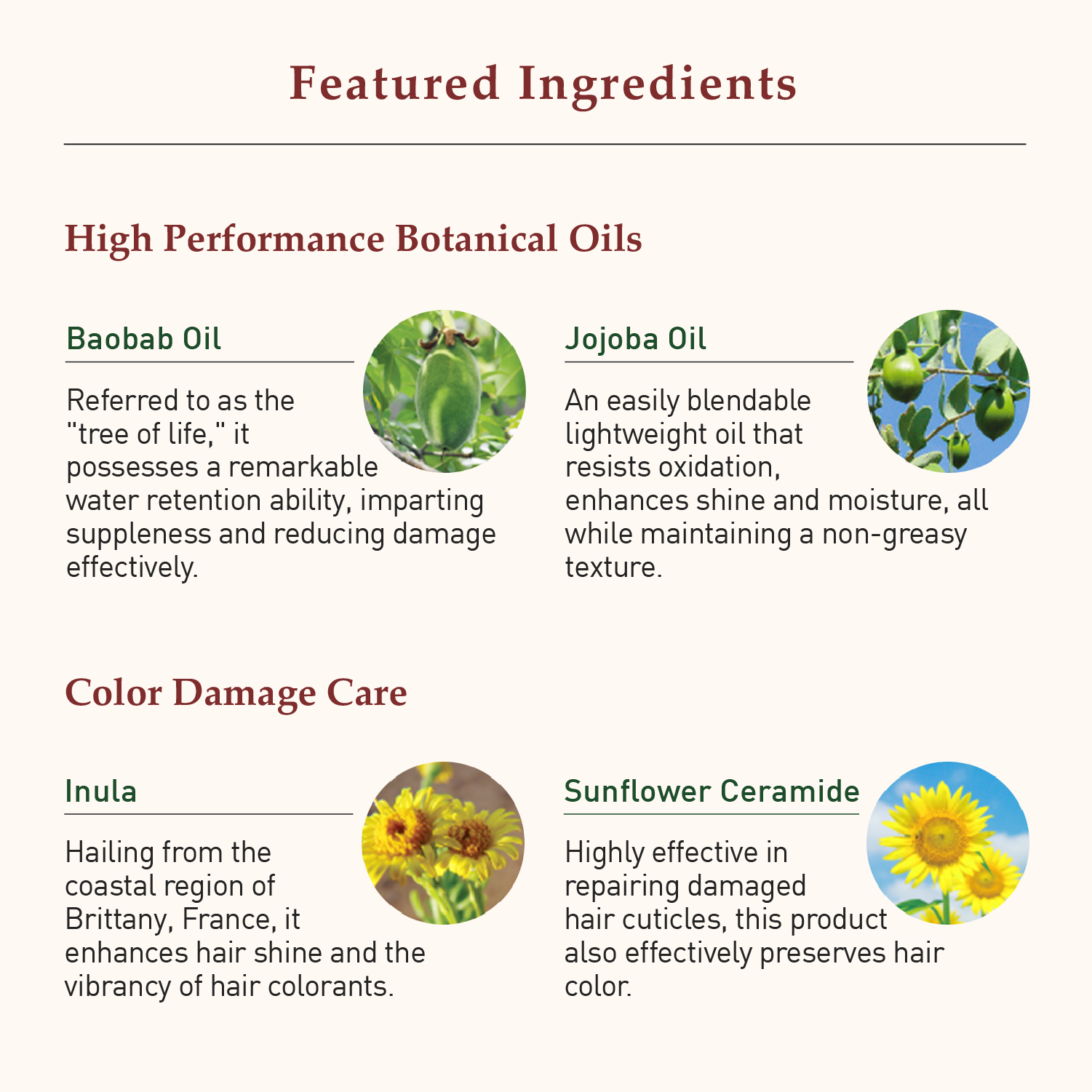 La CASTA AROMA ESTHE HAIR EMULSION