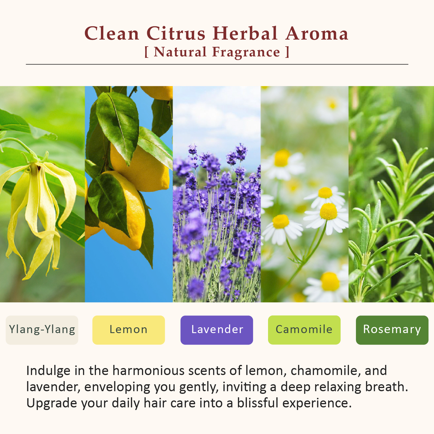 La CASTA AROMA ESTHE HAIR EMULSION