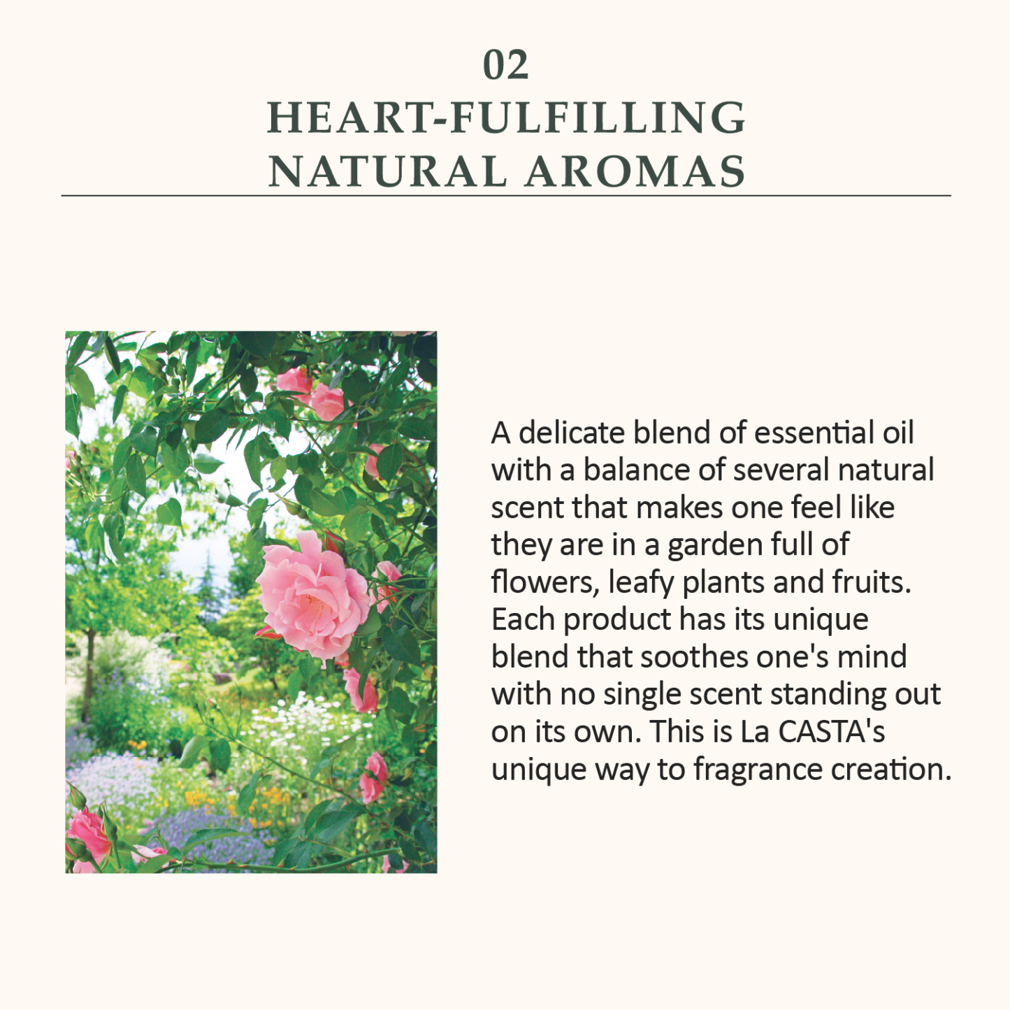 La CASTA AROMA ESTHE HAIR EMULSION