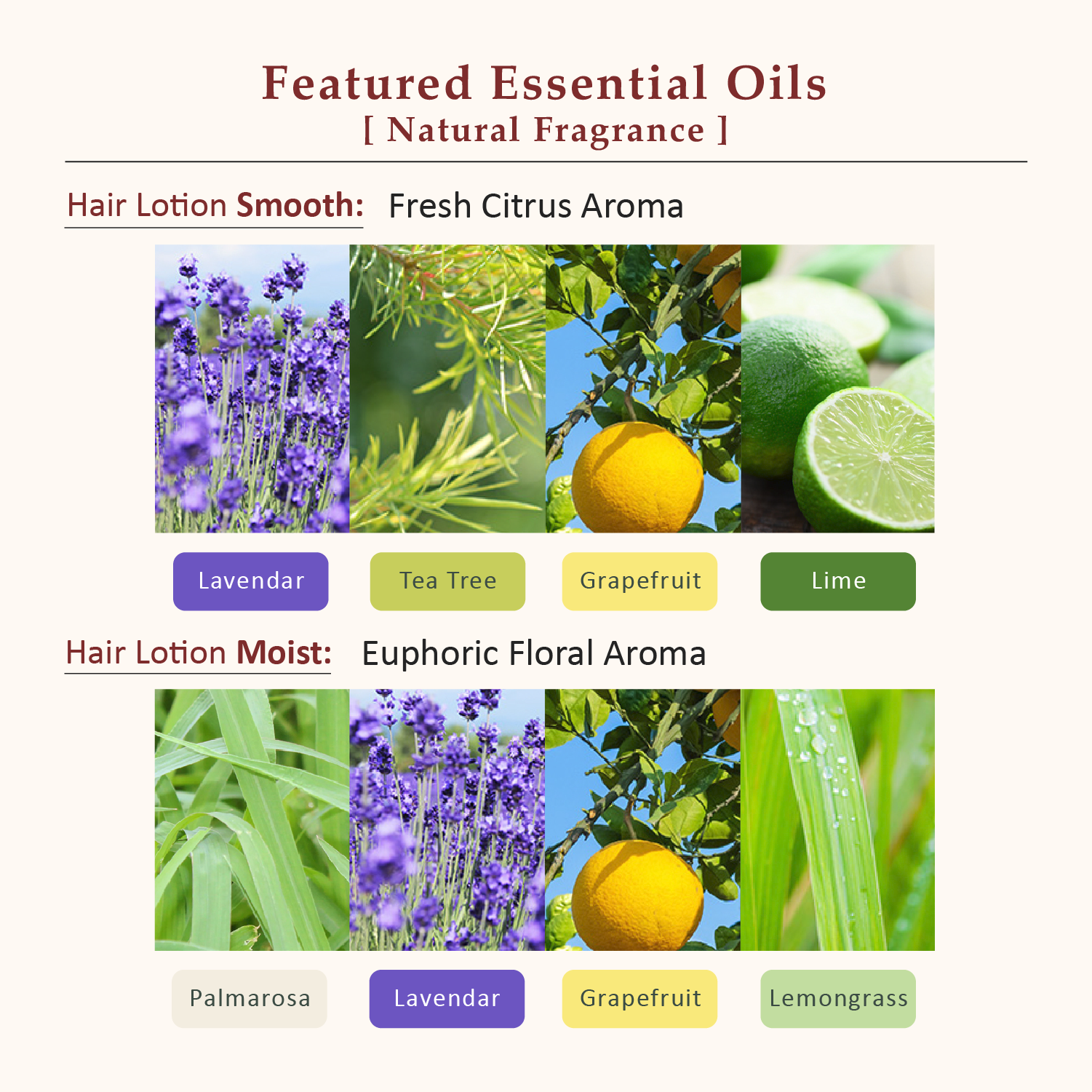 La CASTA AROMA ESTHE HAIR LOTION SMOOTH