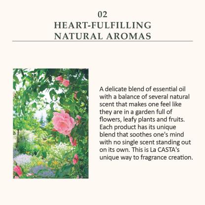 La CASTA AROMA ESTHE HAIR LOTION SMOOTH