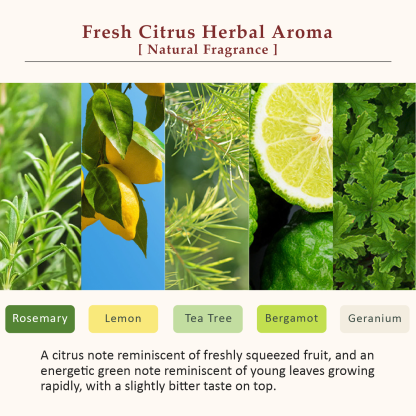 La CASTA AROMA ESTHE HAIR OIL