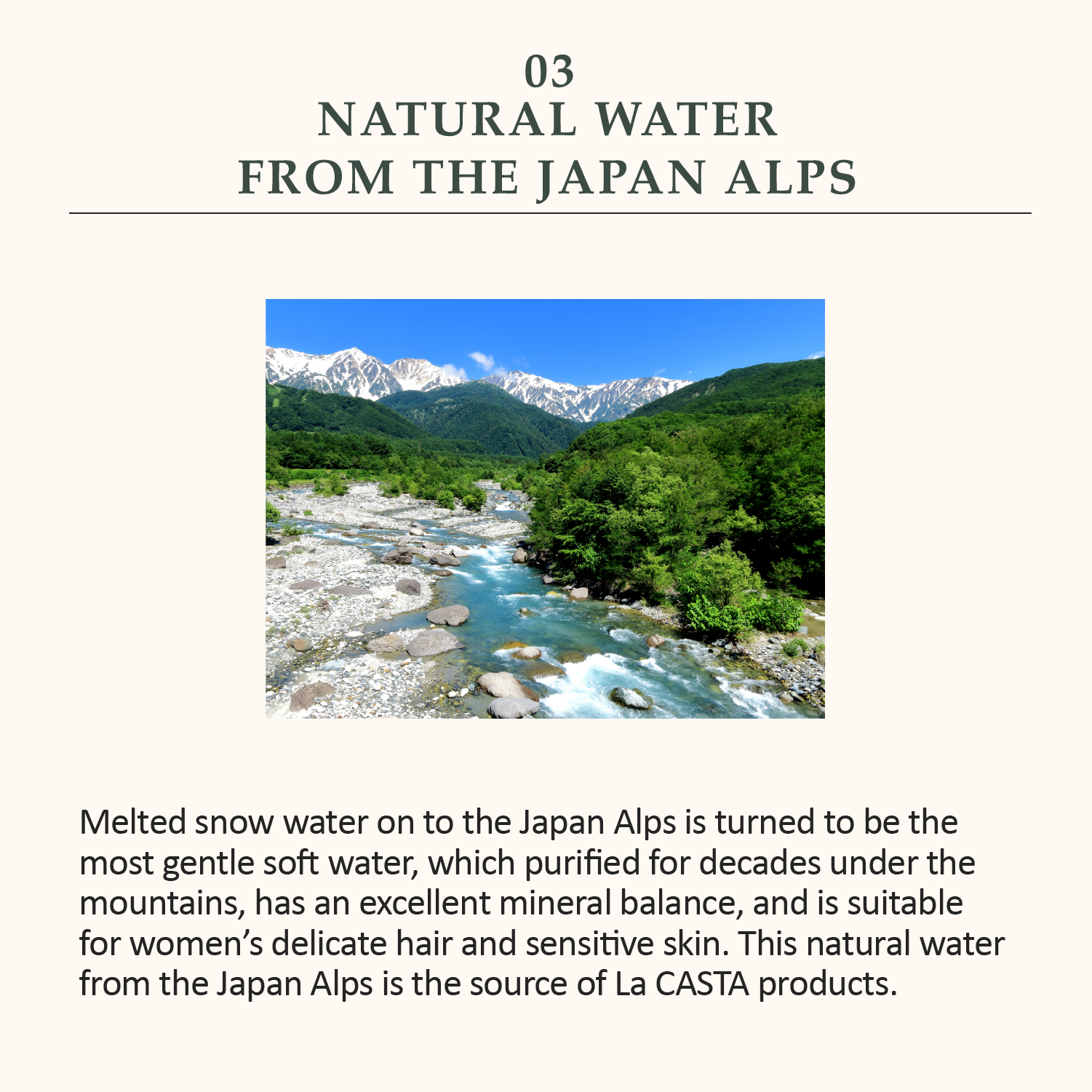 La CASTA AROMA ESTHE HAIR OIL