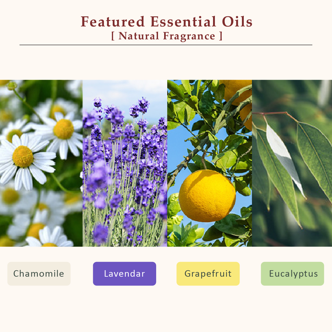 La CASTA AROMA ESTHE HAIR SOAP 16