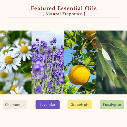 La CASTA AROMA ESTHE HAIR SOAP 16