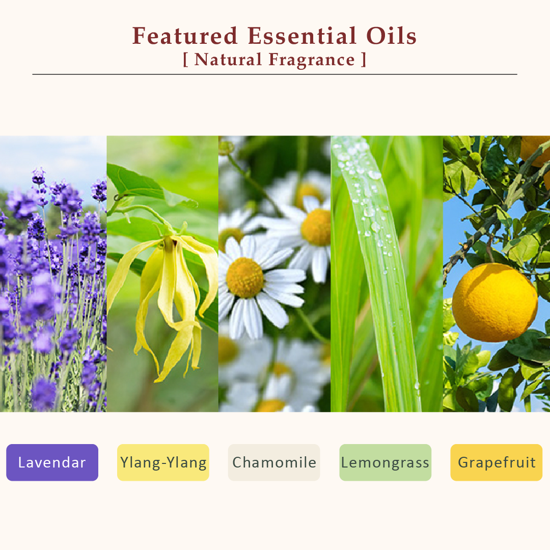 La CASTA AROMA ESTHE HAIR SOAP 21