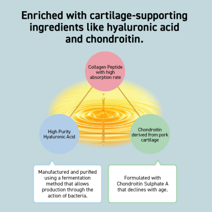KNEE SUPPORTER COLLAGEN (30 SACHETS)